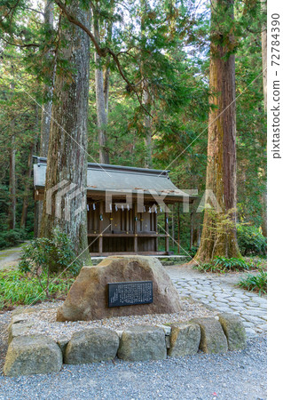 [靜岡縣]小國神社 72784390