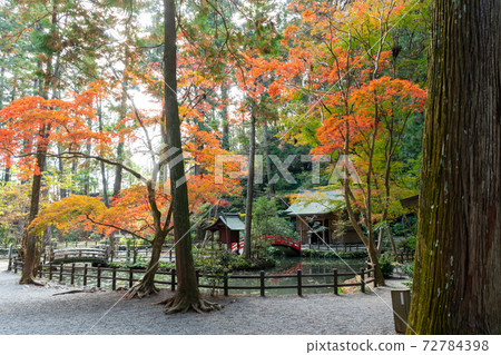[Shizuoka Prefecture] Okuni Shrine 72784398