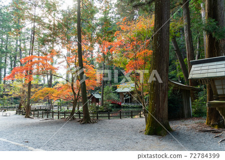 [靜岡縣]小國神社 72784399
