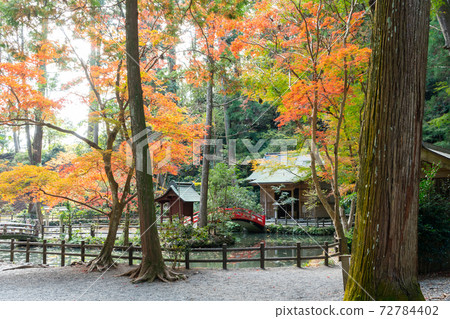 [靜岡縣]小國神社 72784402