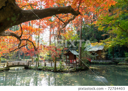 [靜岡縣]小國神社 72784403