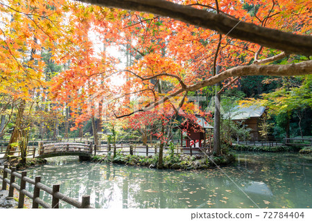 [靜岡縣]小國神社 72784404