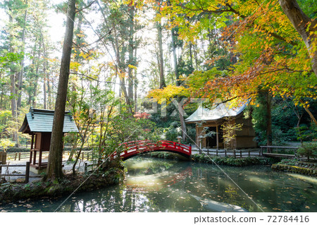 [Shizuoka Prefecture] Okuni Shrine 72784416