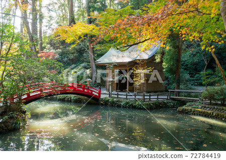 [靜岡縣]小國神社 72784419