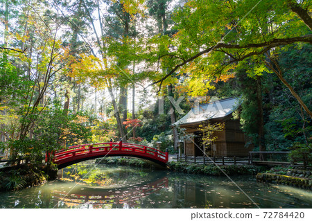 [Shizuoka Prefecture] Okuni Shrine 72784420
