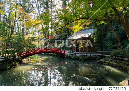 [Shizuoka Prefecture] Okuni Shrine 72784423