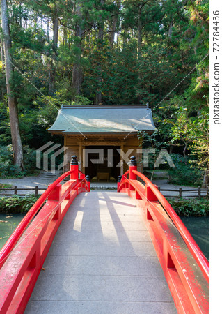 [Shizuoka Prefecture] Okuni Shrine 72784436