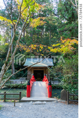 [靜岡縣]小國神社 72784438