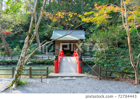 [Shizuoka Prefecture] Okuni Shrine 72784443