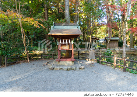 [靜岡縣]小國神社 72784446