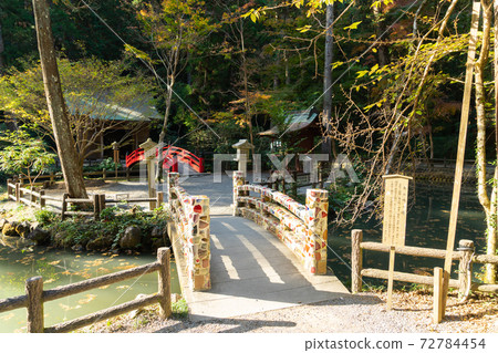 [靜岡縣]小國神社 72784454