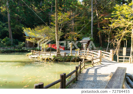 [Shizuoka Prefecture] Okuni Shrine 72784455