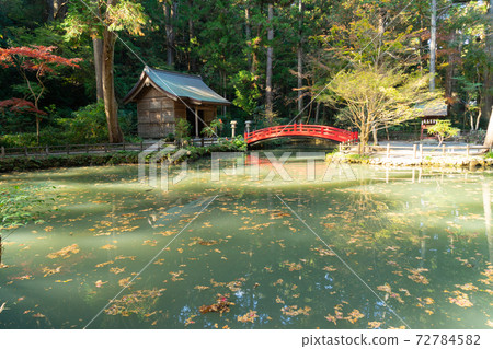 [靜岡縣]小國神社 72784582