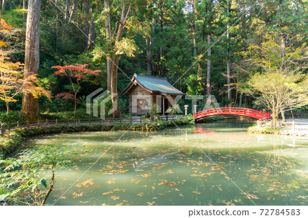 [Shizuoka Prefecture] Okuni Shrine 72784583