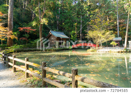 [靜岡縣]小國神社 72784585