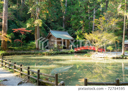 [Shizuoka Prefecture] Okuni Shrine 72784595