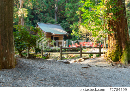 [靜岡縣]小國神社 72784599