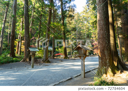 [靜岡縣]小國神社 72784604
