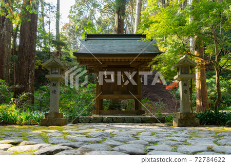 [Shizuoka Prefecture] Okuni Shrine 72784622