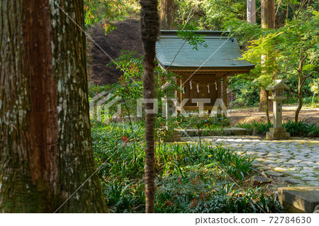 [靜岡縣]小國神社 72784630