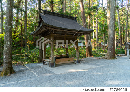 [Shizuoka Prefecture] Okuni Shrine 72784636