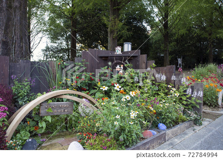 花卉公園的小花園 花卉公園的小花園 72784994