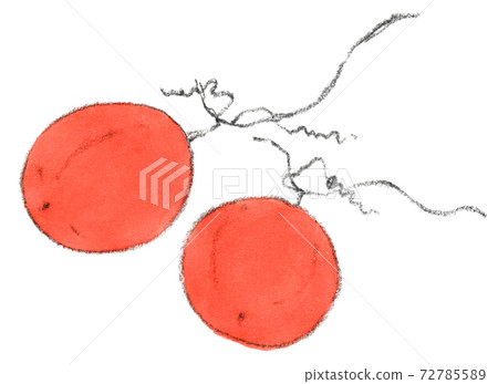 Late autumn-winter tradition, red fruit of crow squirrel 72785589