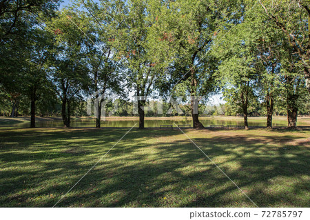 Green Park - Westminster, Front or Back Yard, Formal Garden, Ornamental Garden 72785797