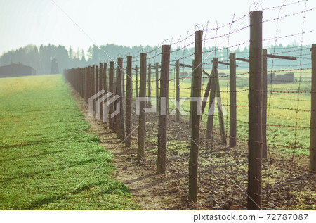 grass and path between barbed wire fences in German concentration and extermination camp Majdanek. Lublin, Poland grass and path between barbed wire fences in German concentration and extermination camp Majdanek. Lublin, Poland 72787087