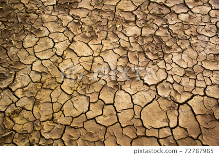 cracked clay ground into the dry season 72787985
