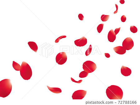 Dancing rose petals Dancing rose petals 72788166