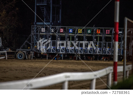 Saga horse racetrack at night 72788361