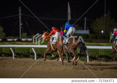 佐賀夜間賽馬 佐賀夜間賽馬 72788371