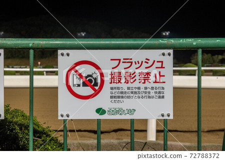 Saga horse racetrack at night 72788372