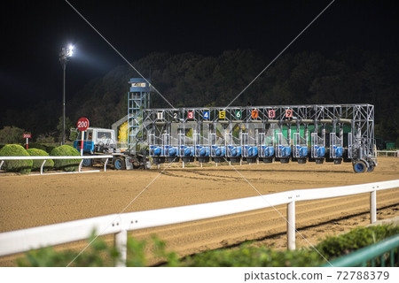 Saga horse racetrack at night 72788379