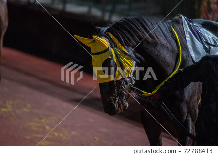 佐賀夜間賽馬 72788413