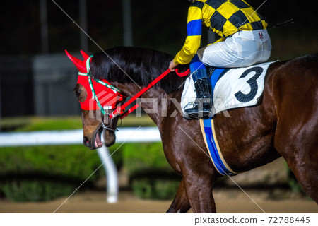 Saga horse racetrack at night 72788445