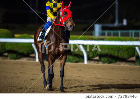 Saga horse racetrack at night 72788446