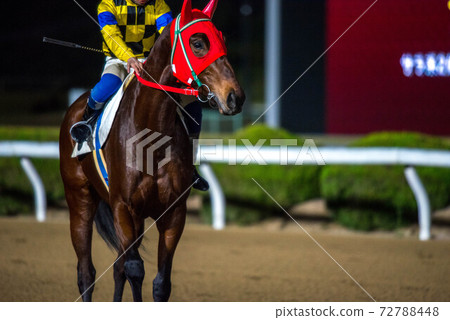 佐賀夜間賽馬 佐賀夜間賽馬 72788448