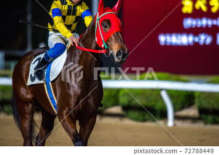 Saga horse racetrack at night 72788449