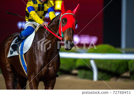 Saga horse racetrack at night 72788451