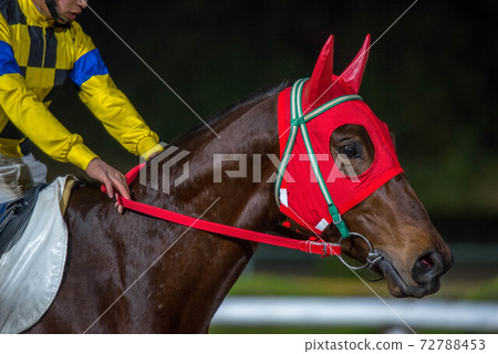 佐賀夜間賽馬 72788453