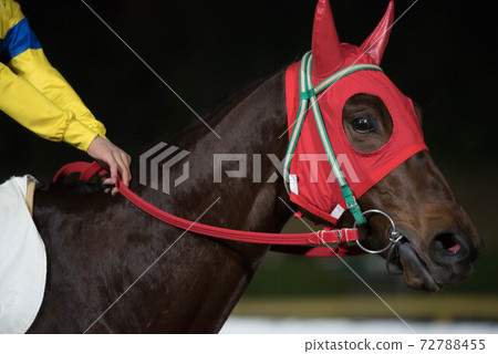 Saga horse racetrack at night Saga horse racetrack at night 72788455
