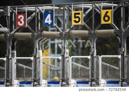 Saga horse racetrack at night 72788549