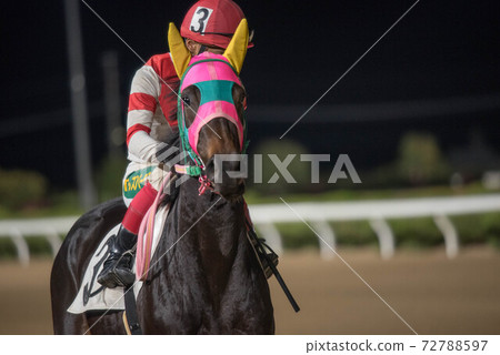 Saga horse racetrack at night 72788597