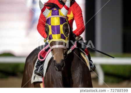 佐賀夜間賽馬 72788599