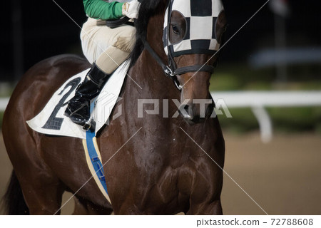 Saga horse racetrack at night 72788608