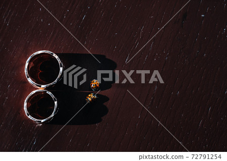 Close-up of two gold wedding rings and two beetles 72791254