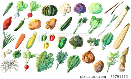 Vegetable set (watercolor style) Vegetable set (watercolor style) 72791513