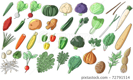 vegetable set vegetable set 72791514